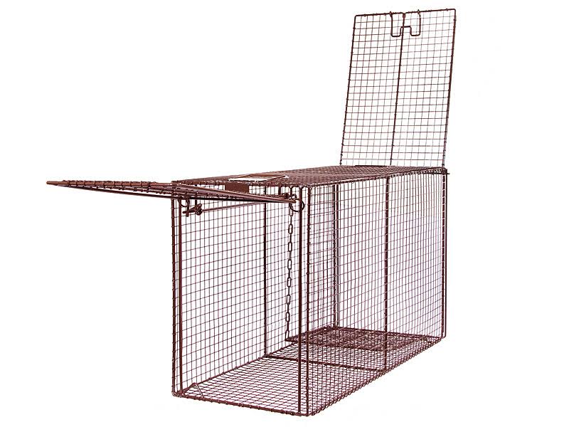 Humane Live Animal Trap N831152