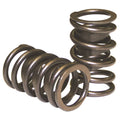 Stock Diameter Valve Springs T255