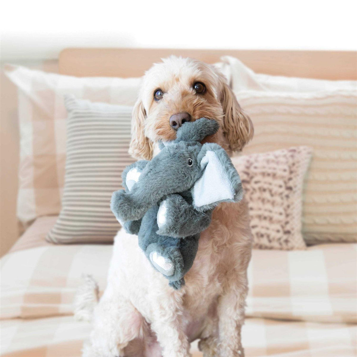 Bear Dog Toy Y476