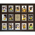 16'' x 20'' Plaque M869241