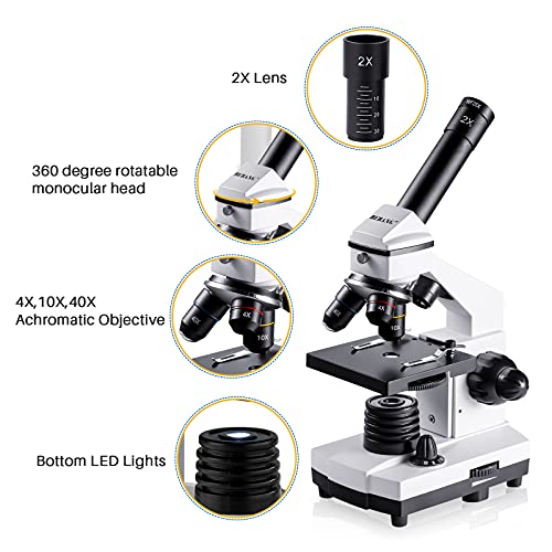 100X-2000X Compound Microscope with Slides O67645