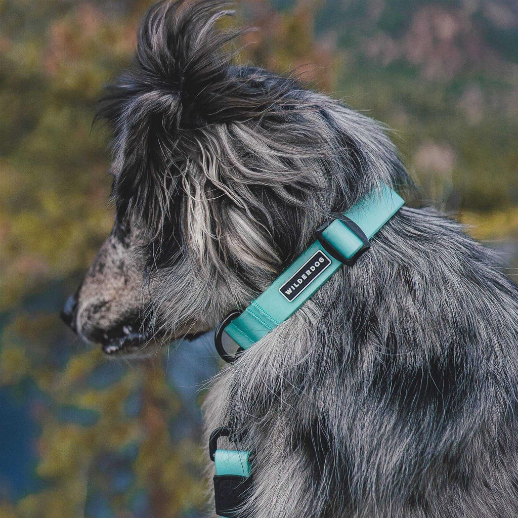 Waterproof Collar J257074