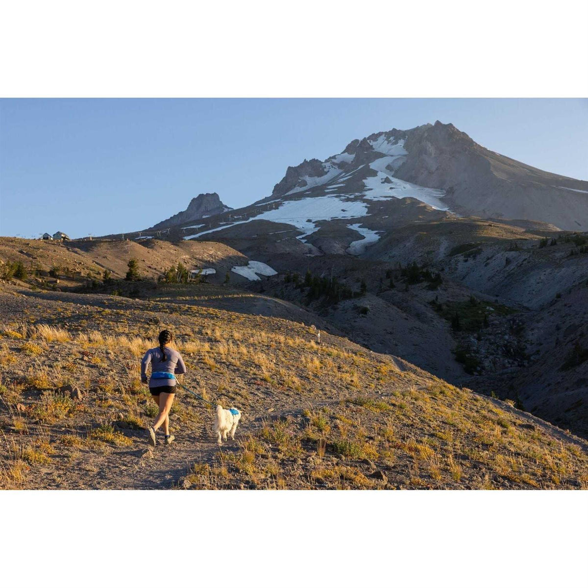 Trail Runner Belt E223304