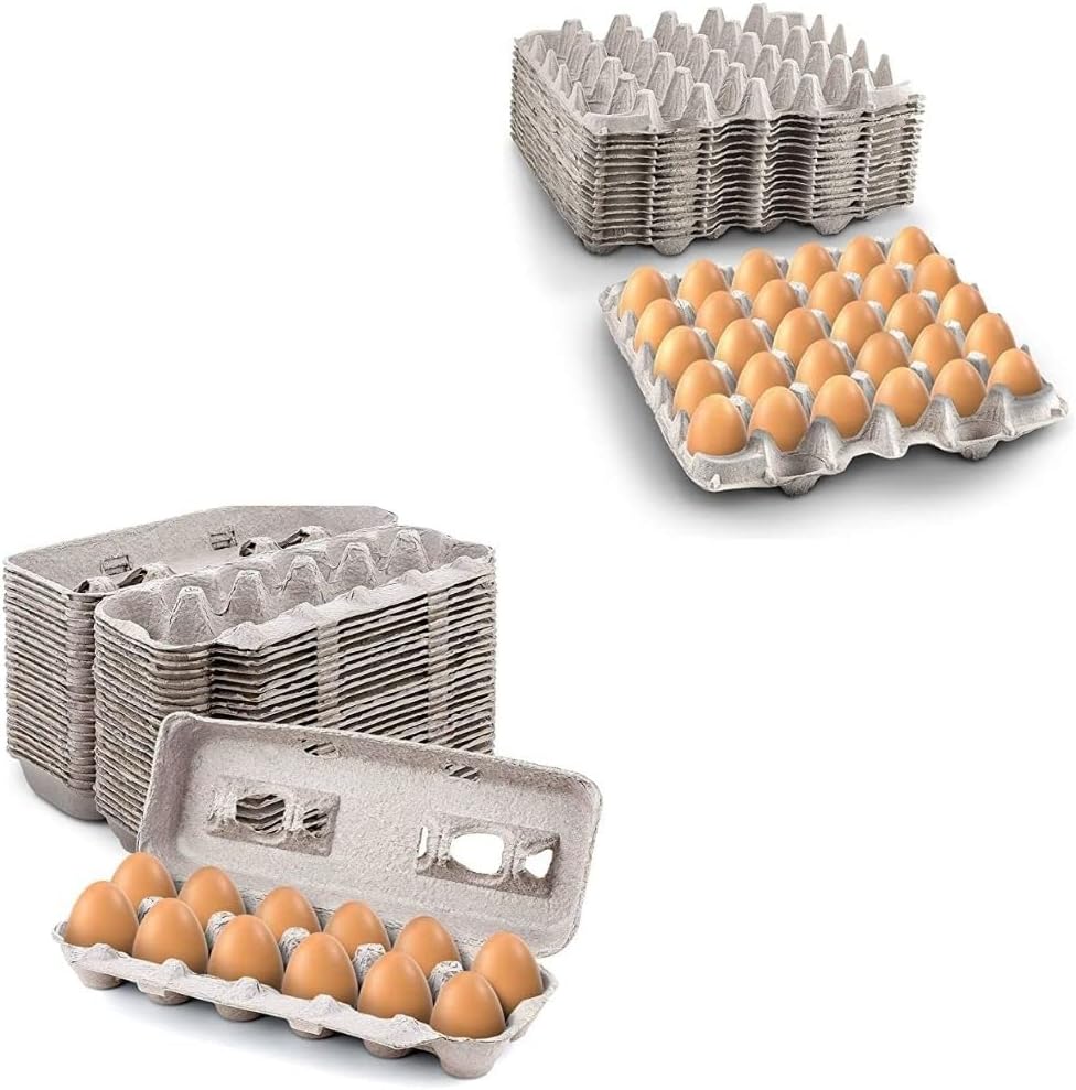 15 Pc Biodegradable Pulp Fiber Egg Cartons R879