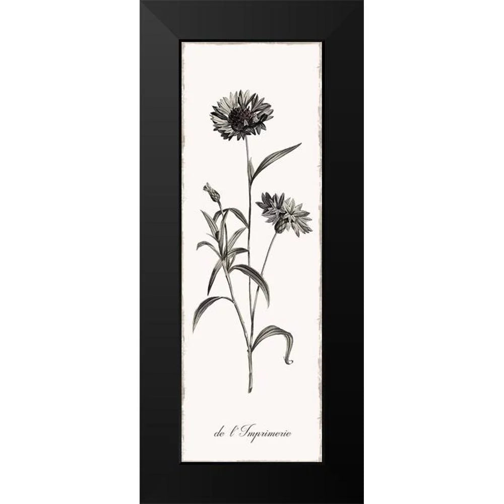 Black Modern Framed Art Print W329