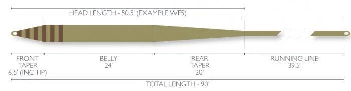 WF7F Fly Line C175923