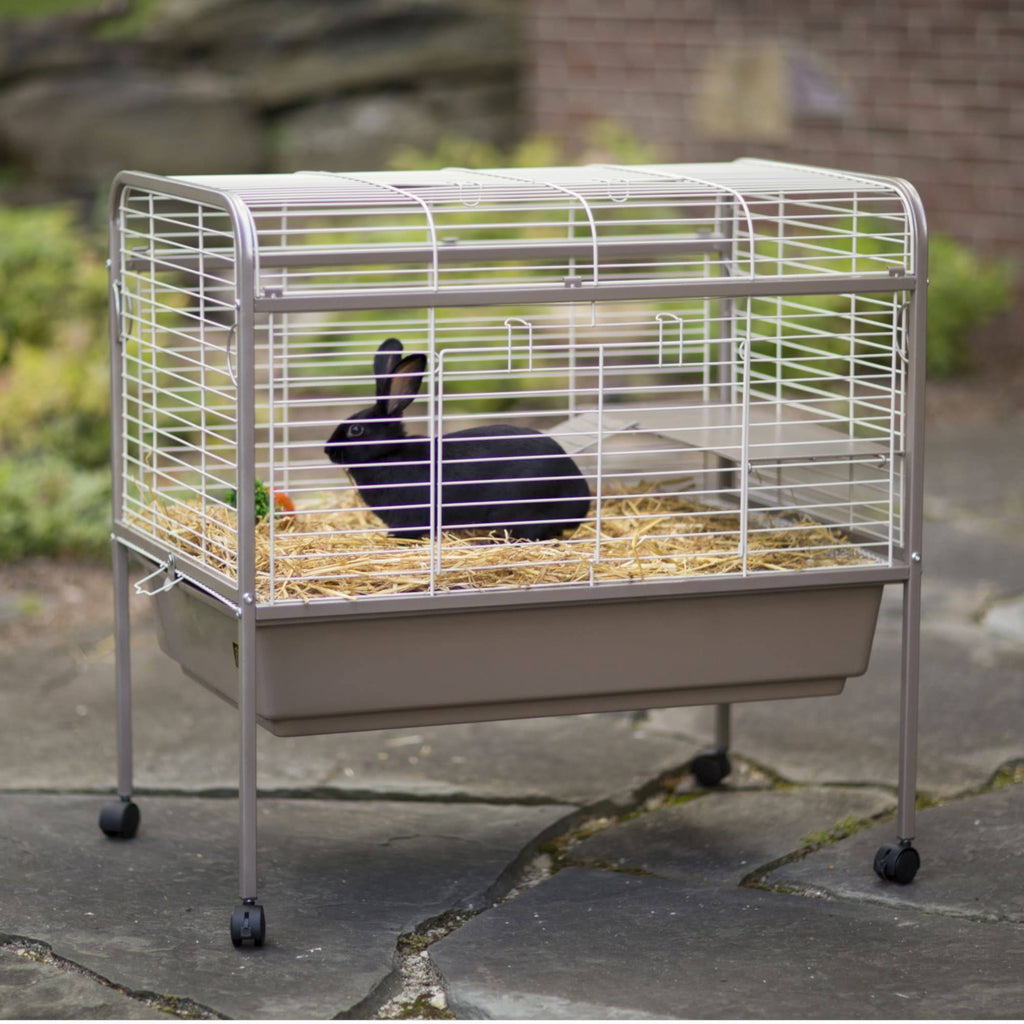 Small Animal Cage R4317