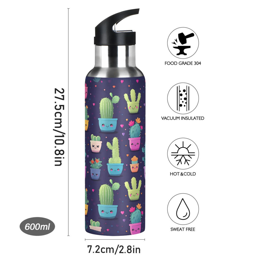 Stainless Steel Insulated Water Bottle with Straw Lid N6219