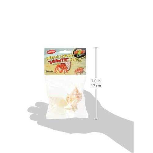 Hermit Crab Growth Shell U8958