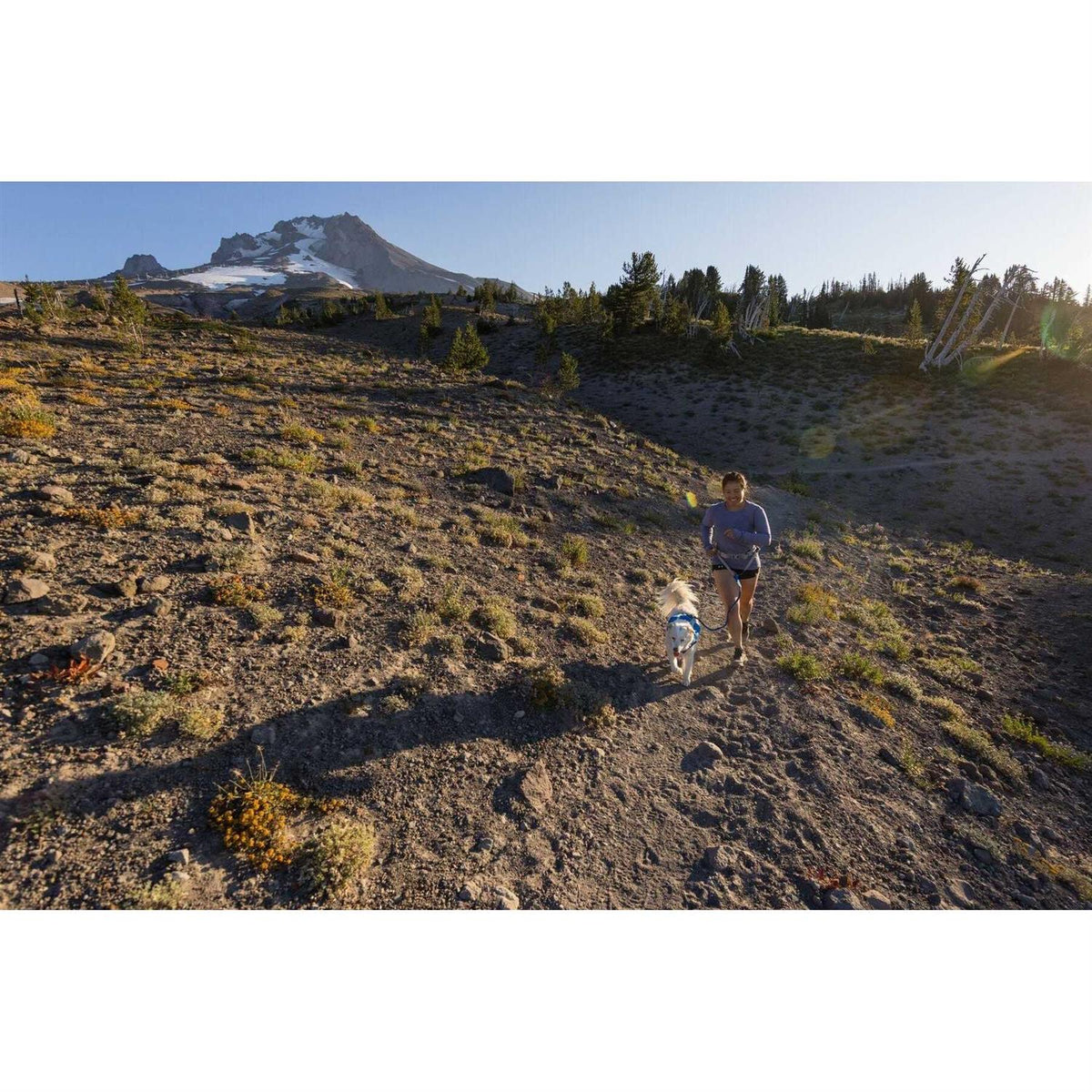 Trail Runner Belt E223304