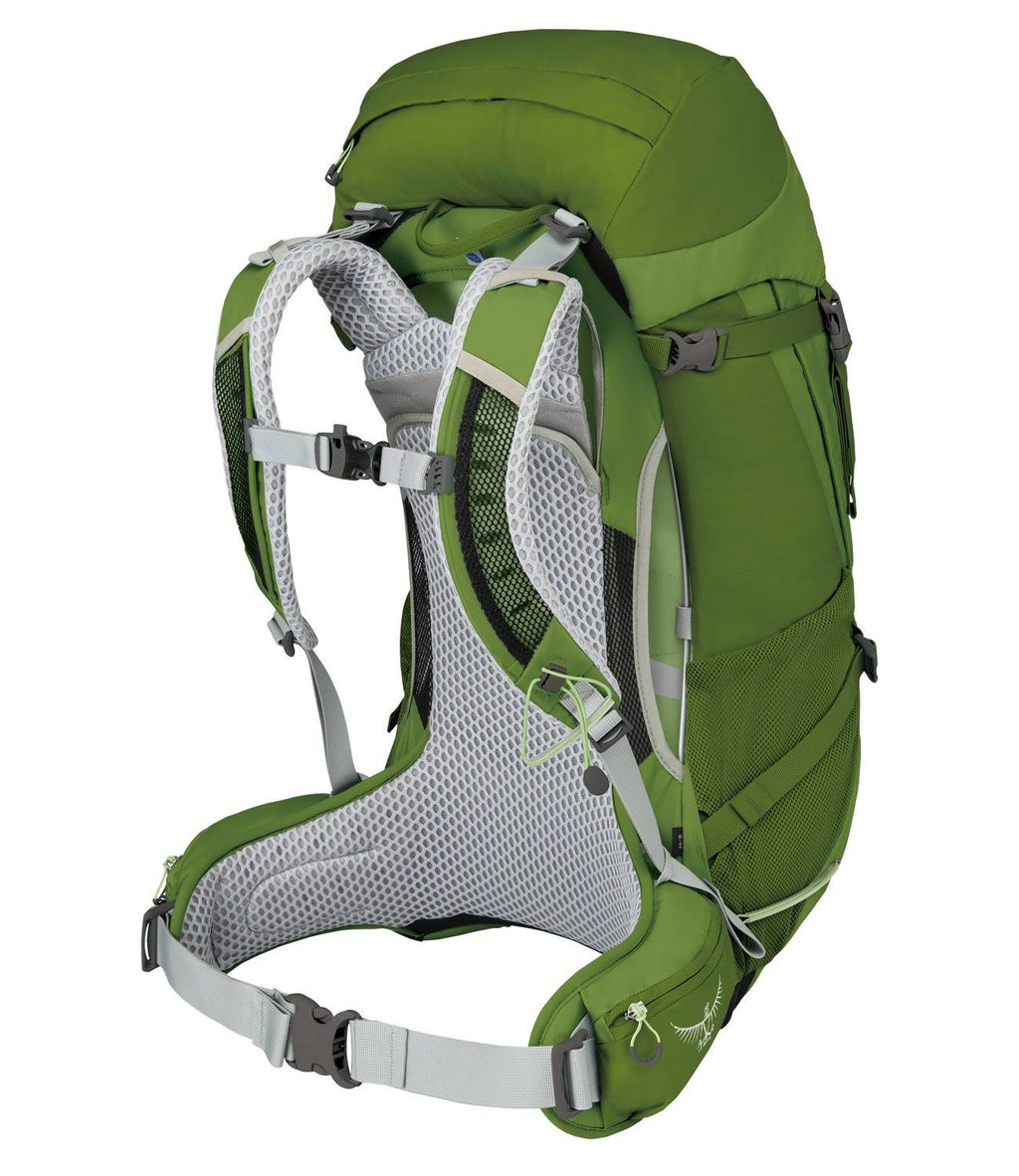 Thyme Green Backpack B440378