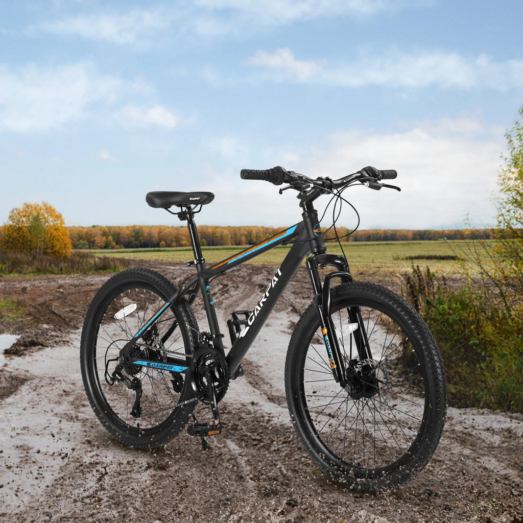 26 inch Mountain Bike with 21 Speed & Disc Brakes R89977