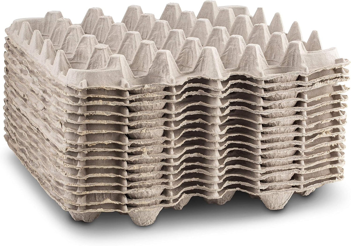 15 Pc Biodegradable Pulp Fiber Egg Cartons R879