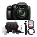 Panasonic Lumix FZ80 4K 60X Zoom Digital Camera with SanDisk 64GB SD Card Bundle B25902