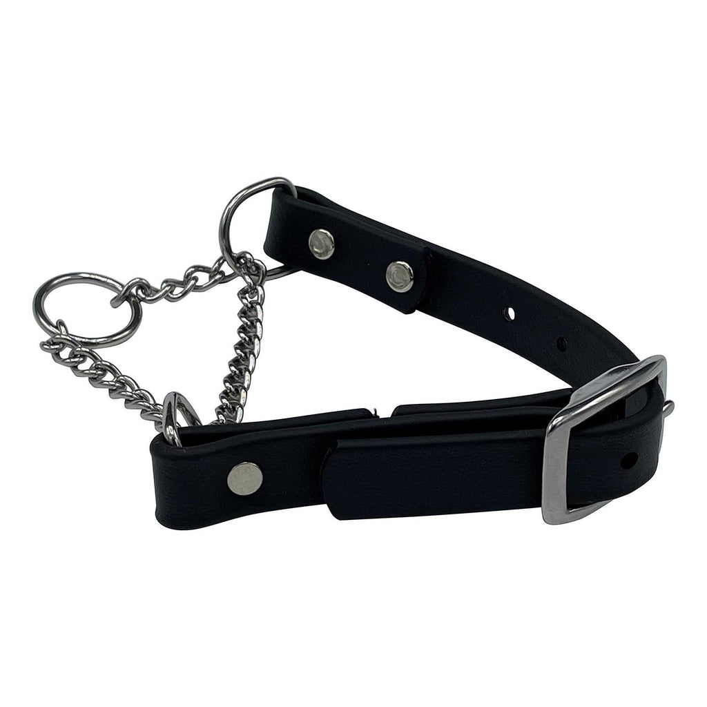 Martingale Collar for Dogs Biothane Stainless Steel Hardware N10246