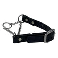 Martingale Collar for Dogs Biothane Stainless Steel Hardware N10246
