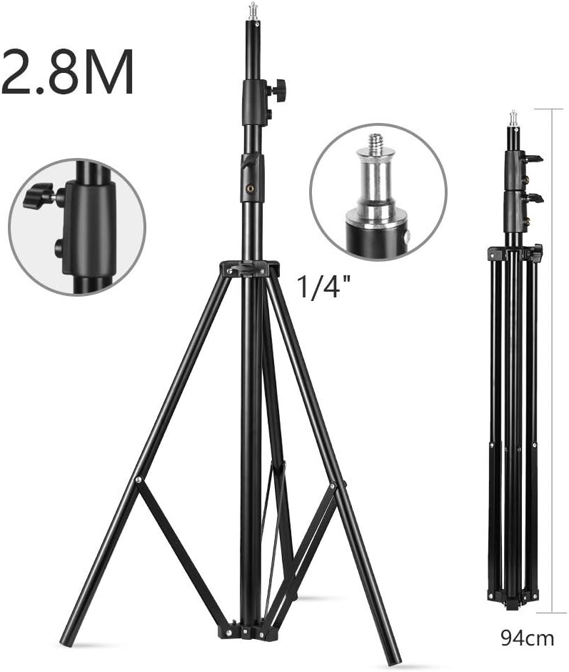 2 Pack 800Ws Photo Speedlite Studio Flash Strobe Monolight Bowens Mount Kit with Softbox, Light Stand, Barn Door Kit, Reflector C53822