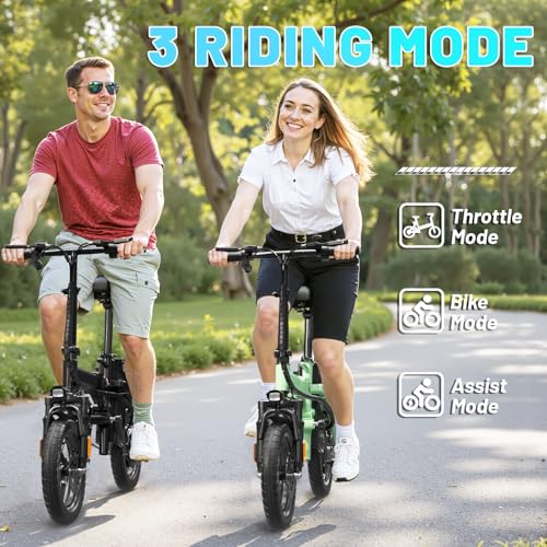 E Bike Electric Bike 500W Motor, Folding Ebike 14" 48V 10Ah Removable Battery D8102