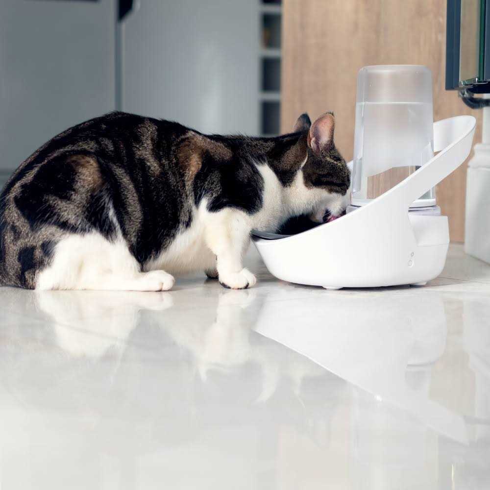 Felaqua Connect Pet Supplies G469746