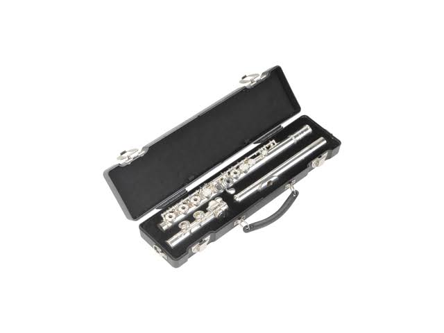 Flute Cases Z99017