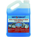 Moss Mold Mildew and Algae Stain Remover Concentrate 1 Gallon (Case of 4) W625068