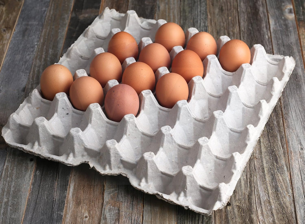 15 Pc Biodegradable Pulp Fiber Egg Cartons R879