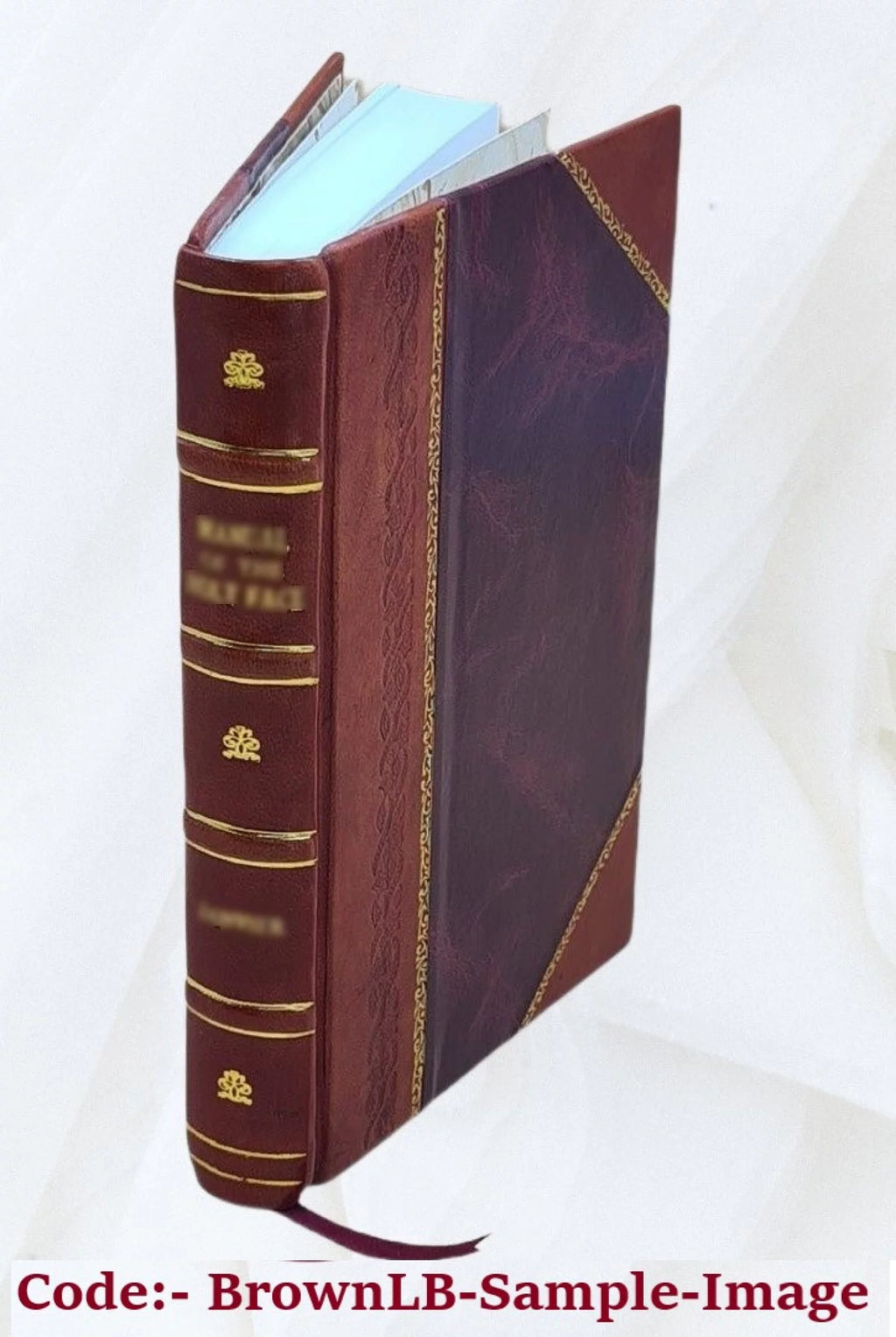 German History Leather Bound I898079