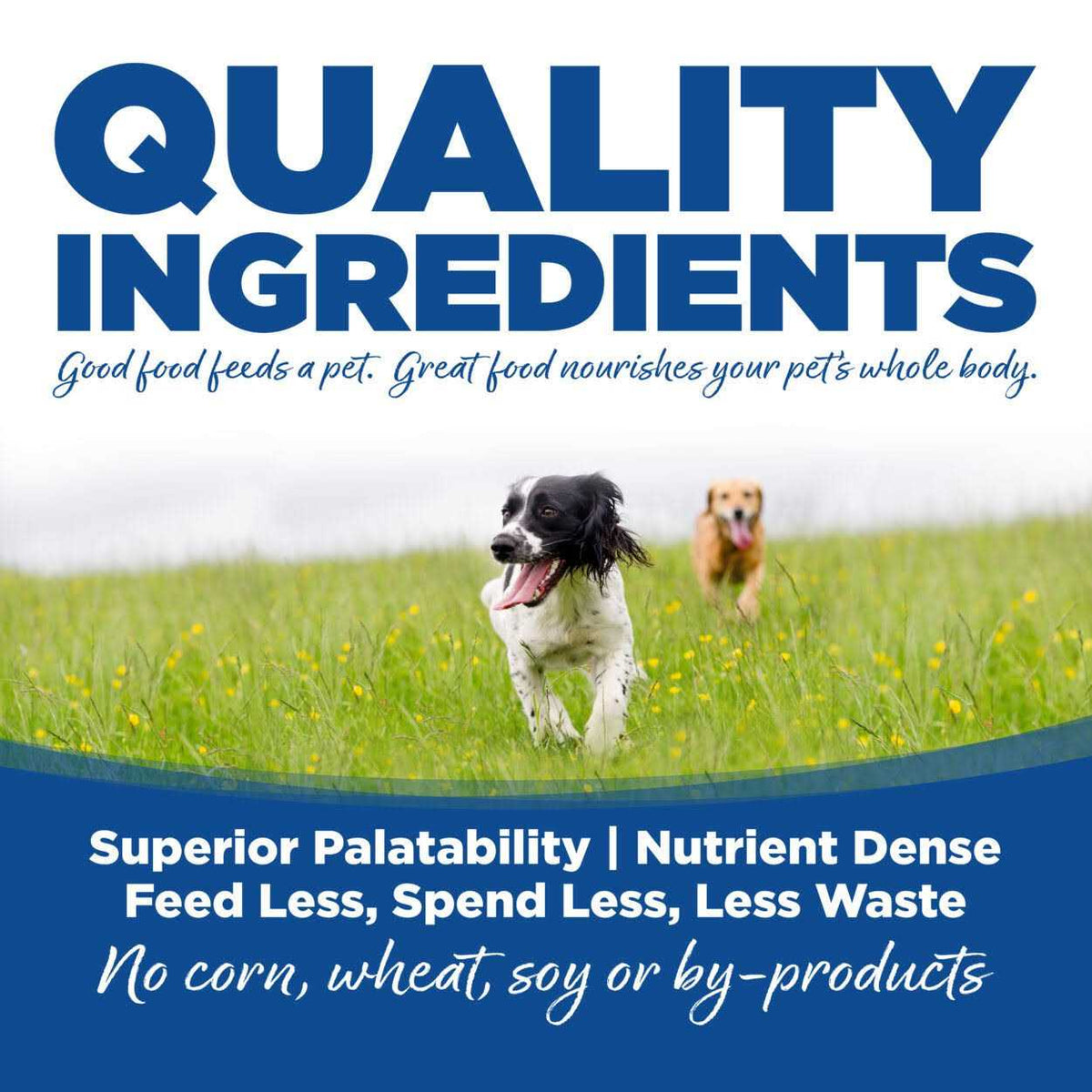 Whitefish Meal Rice Recipe Dry Dog Food O850037