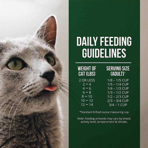 Salmon Chicken Dry Cat Food B8695