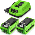 2-Pack 40 Volt 6.0Ah Lithium ion Battery and Charger X54834