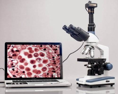 40X-2000X LED Trinocular Compound Microscope K448034