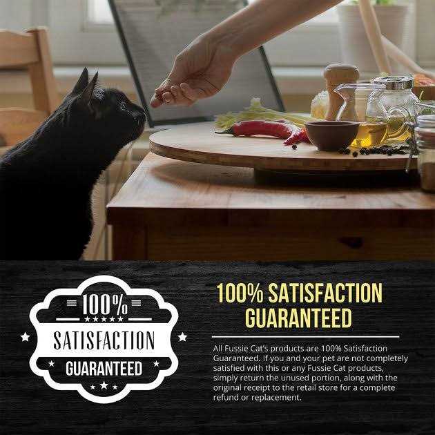 Salmon Chicken Dry Cat Food B8695