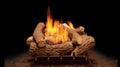 18x22 Gas Burner B1810