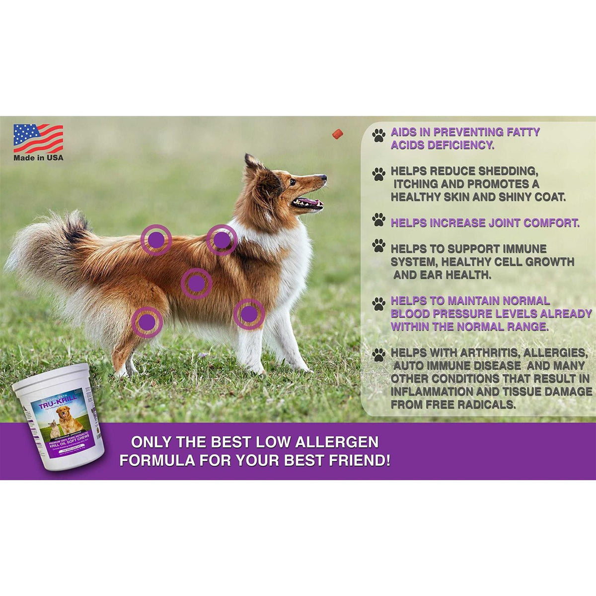 Antarctic Krill Oil Soft Chews for Dogs R984836