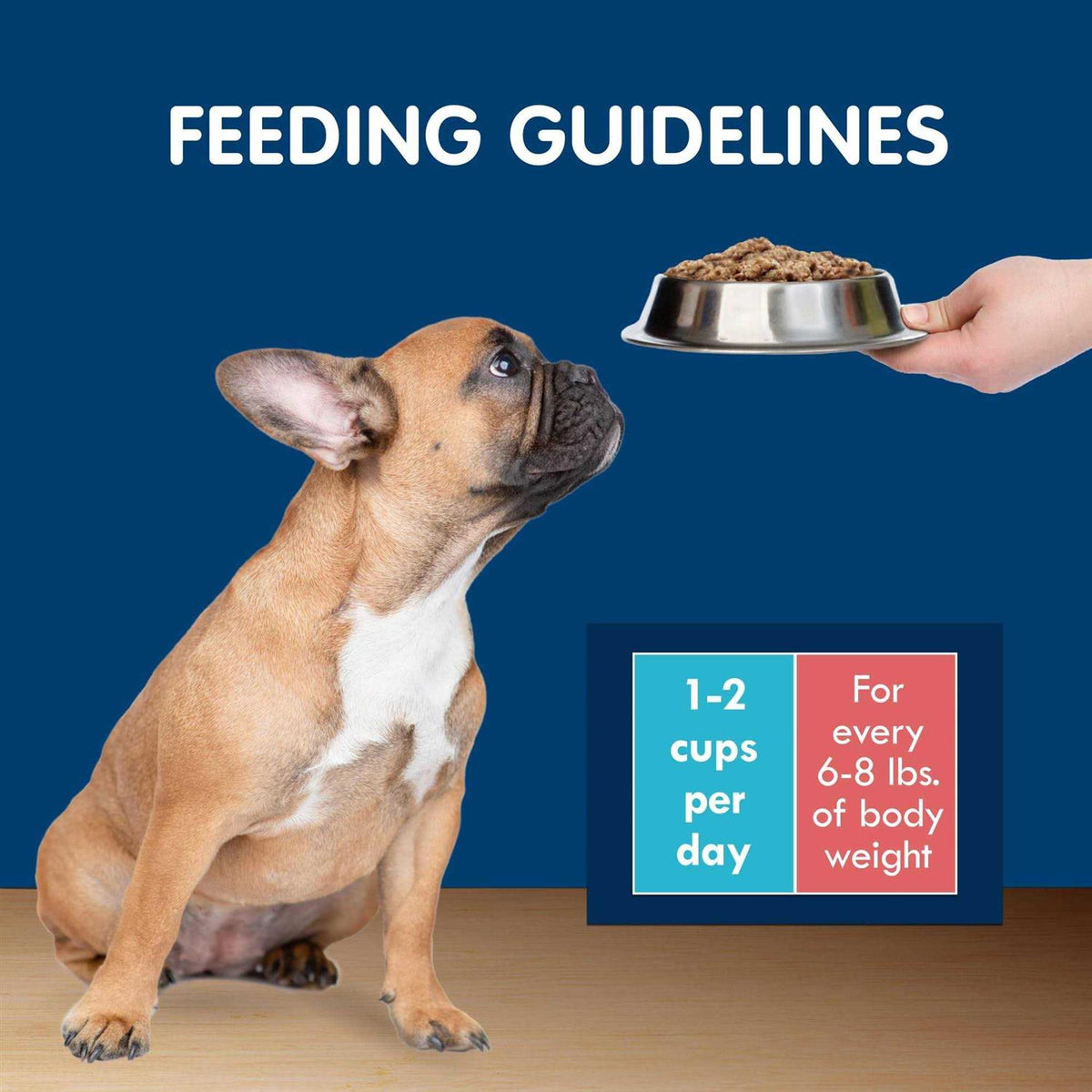 Grain-Free Chicken Wet Dog Food D441419