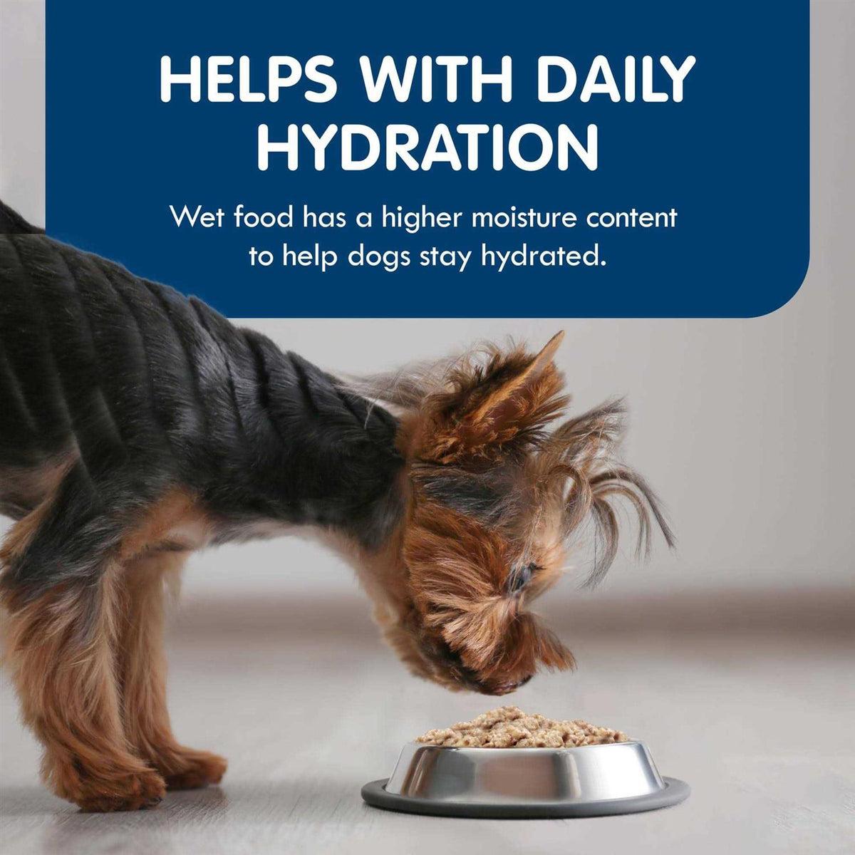 Grain-Free Chicken Wet Dog Food D441419