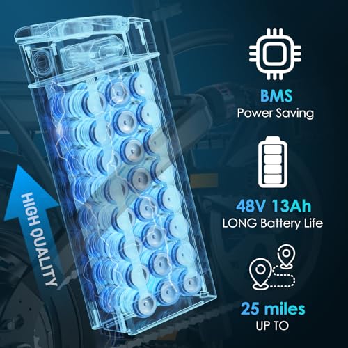 E Bike Electric Bike 500W Motor, Folding Ebike 14" 48V 10Ah Removable Battery D8102