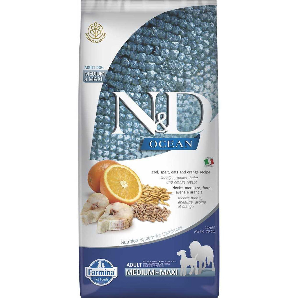 Lamb & Blueberry Puppy Dry Dog Food G9040