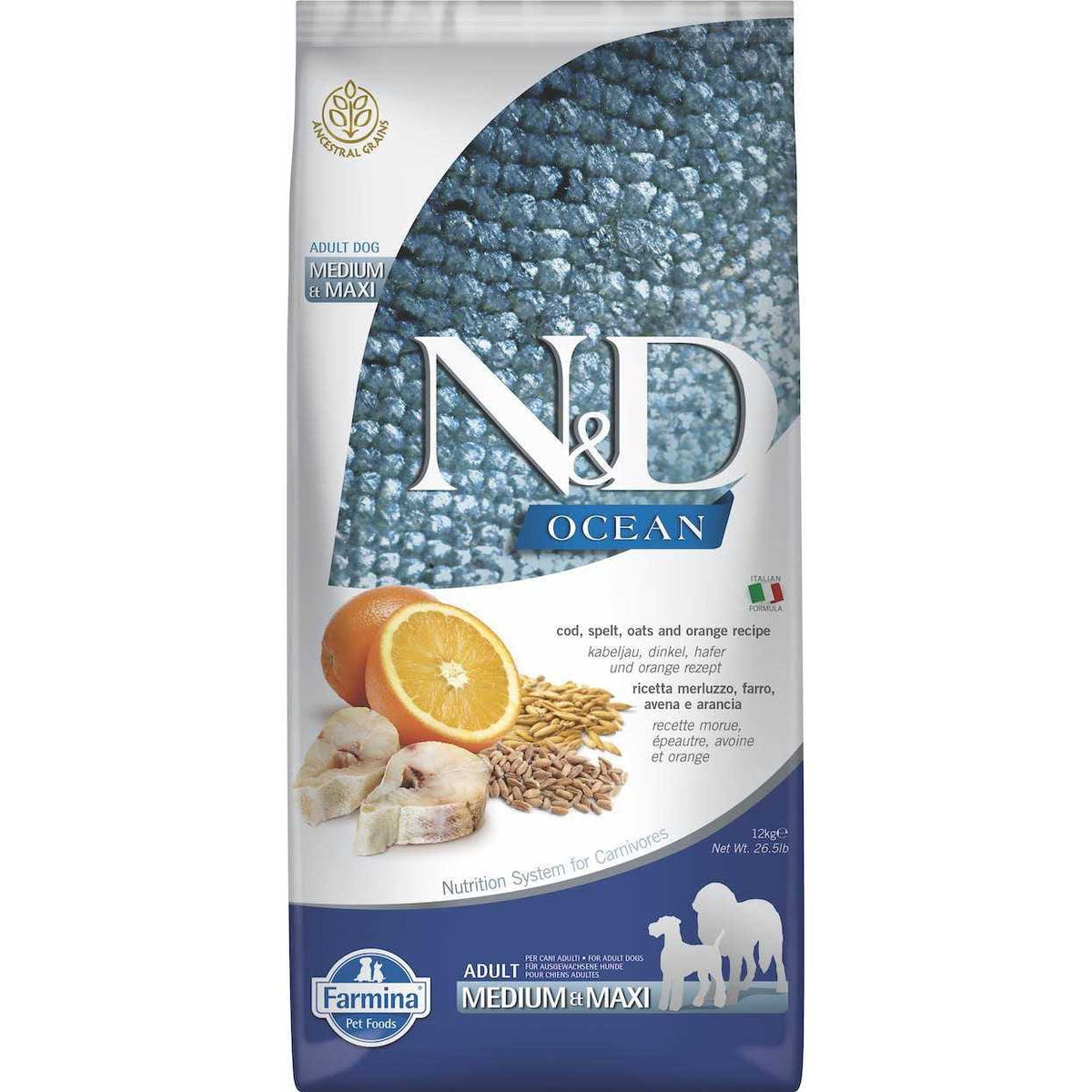 Lamb & Blueberry Puppy Dry Dog Food G9040