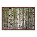 Framed Photograph Print F306