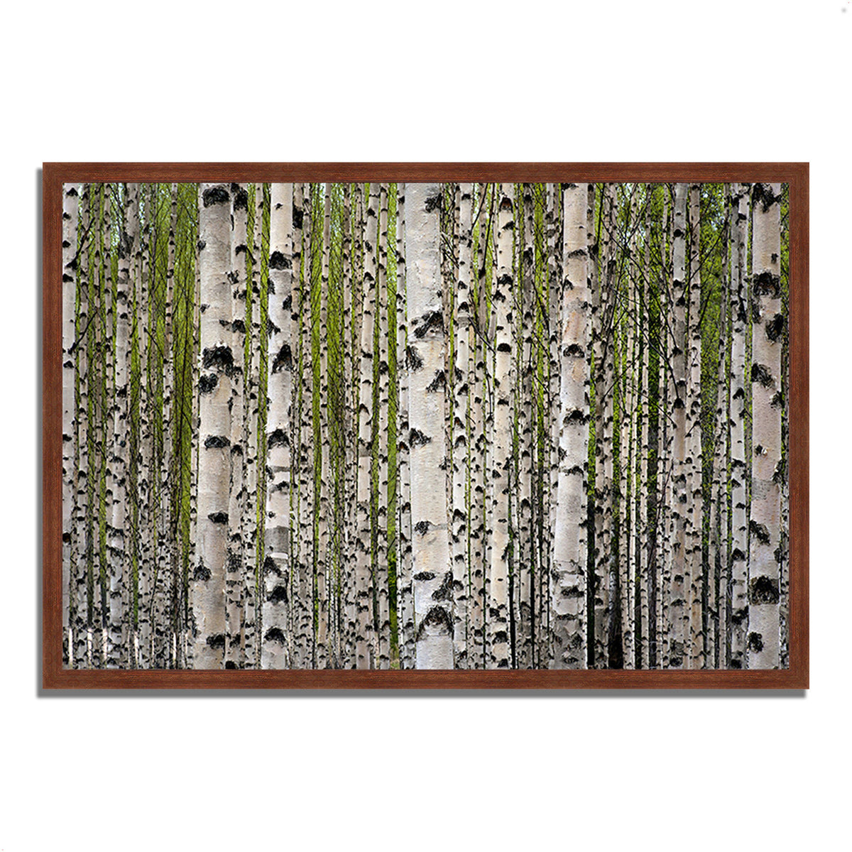 Framed Photograph Print F306