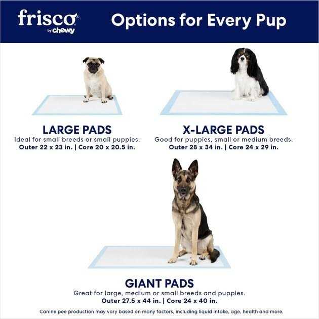 Training Potty Pads M98884