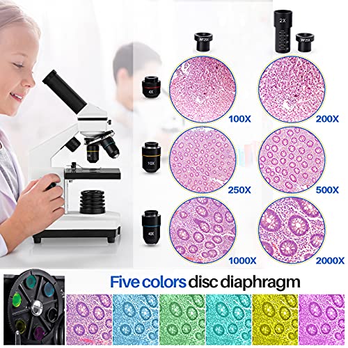 100X-2000X Compound Microscope with Slides O67645