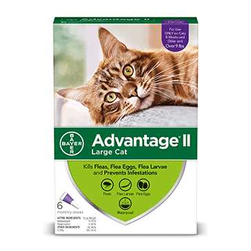 6 Treatment Cats Flea Treatment L992