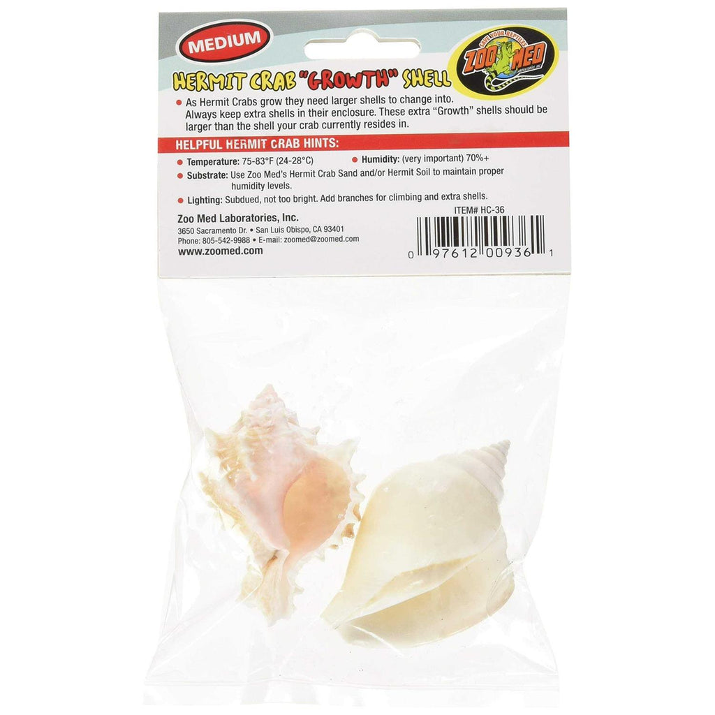 Hermit Crab Growth Shell U8958