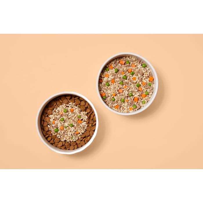 Frozen Beef Recipe Dog Food T1882
