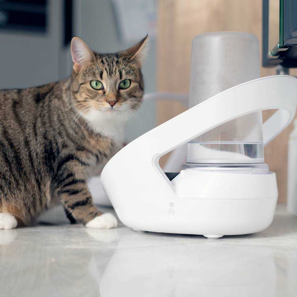 Felaqua Connect Pet Supplies G469746