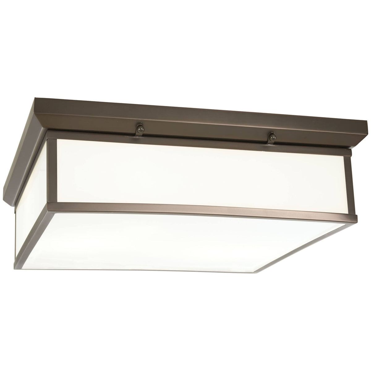 Bronze Flush Mount LED Light C895