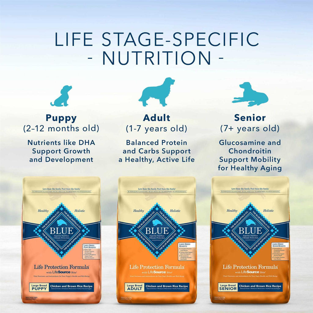 Fish & Brown Rice Adult Dry Dog Food G736514