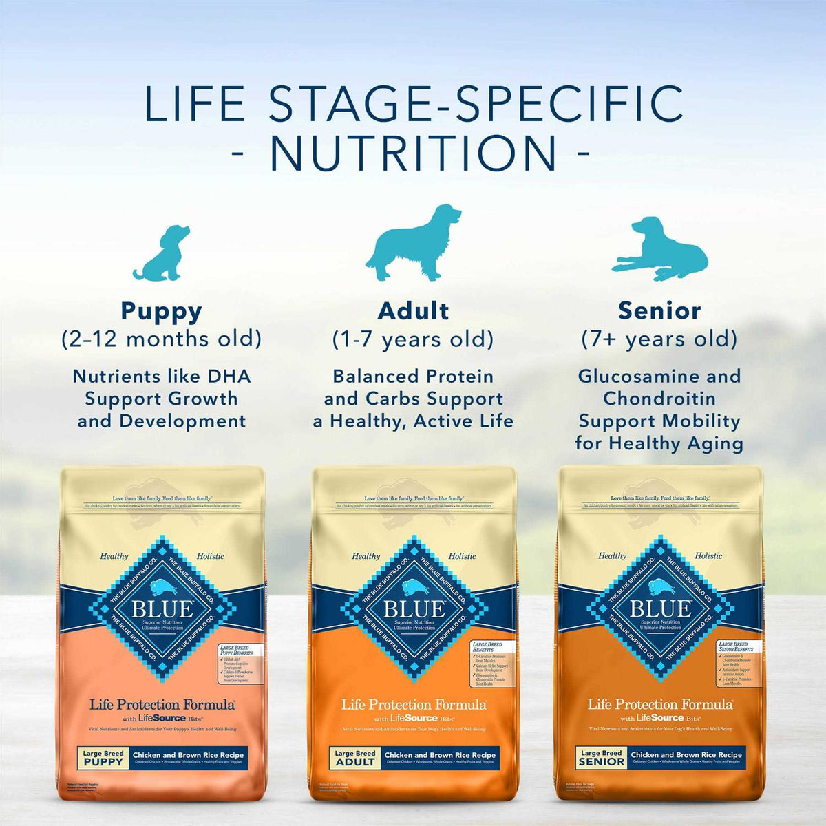 Fish & Brown Rice Adult Dry Dog Food G736514